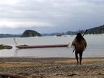 Sunny walks back to the waka.