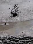 A bubbling mud pit.