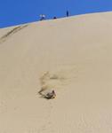 Only in New Zealand could you create a high-adrenaline sport with a pile of sand.