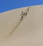 If the slide down the sand dune doesn't get your heart pumping, the climb to the top certainly will.