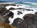The dramatic northern coast of New Zealand.