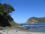 New Zealand's beaches are extraordinary.