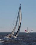 Racing, Banderas Bay style. *Photo by Karen Vaccaro S/V Miela.