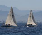 Follow the leader. *Photo by Karen Vaccaro S/V Miela.