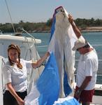 Where does this spinnaker end? *Photo by Karen Vaccaro S/V Miela.