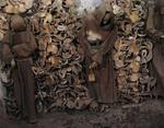 Now that their skulls are piled on top of each other in mass, did it make a difference if this monk was generous and that friar was a cheat?  