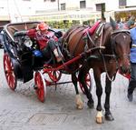 Waiting for a fare. *Photo by Cherie Sogsti.