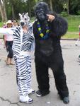 What happens when you cross a zebra and a gorilla?