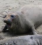 Singing in the sand.