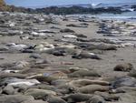 There's no where to put your towel on this crowded beach.