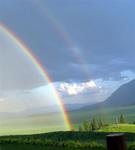 Just when you thought it couldn't get any better--there are two rainbows!