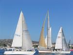 Babe and JBird crisscross in the harbor. *Photo by Cherie Sogsti