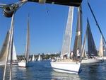 Beautiful sails on a beautiful day. *Photo by Cherie Sogsti