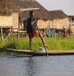 Others say the Intha paddle with their legs because they need to keep their thigh muscles strong.  (They live on a lake, so they don't get to walk much!)