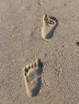 Footprints in the sand.