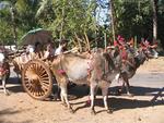 Watching the “Shin-pyu” ceremony was one of the unplanned highlights of our trip to Myanmar.