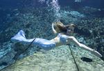 Mermaid Carli. *Photo by John Athanason.