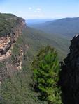 The Grose Valley is a vast rolling canyon of green.