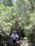 Liam finds a sliver of shade in the bush.