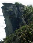 I guess if you're really hungry (or on drugs), the rugged limestone outcrops look like pancakes.