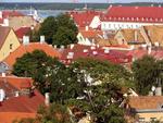 Colorful Estonian rooftops.