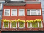 Gent, Gand or Ghent welcomes the Tour de France.