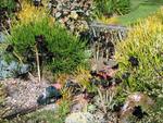 A train runs through the succulent garden.