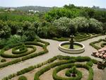 A peek at the rosemary garden from the balcony.