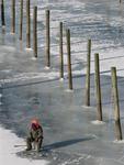 Watched people ice-fish in the "back yard."  (He must really love fish!)