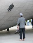 Mirror, mirror on the bean....