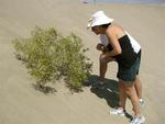 Dean and Karem find flowers in the desert.