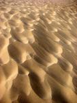 Wind ripples the warm sand.
