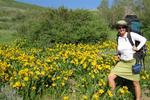 Cherie surrounded by flowers in the Ruby Mountains.