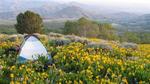 Anita pokes her head out of the tent, can you imagine a more beautiful camp site?