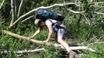 Cherie climbing over a trail "obstruction."