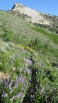 After five days of hiking in the Ruby Mountain wilderness, we saw one other pair of hikers.