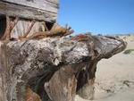 They called it a "ghost ship" when it was first uncovered, but later the wreck was identified as the George L. Olsen which ran aground on June 23, 1944.