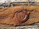 Now the ship silently rusts away on Oregon's wild and lonely coast.