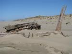 Back in 1944, the George L. Olsen ferried lumber.  She smacked into the North Jetty in Coos Bay and went aground. No one died but the ship.