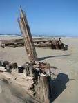 Greg and Cherie used a GPS to navigate through the dunes and find the washed up schooner in Coos Bay.