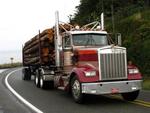 Sharing the road with logging trucks.