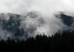 The mist gathers on the mountains.  Spooky.