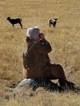 Ann, who normally makes applebutter out of her basement, photographs the sheep.