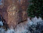 Fortunately, we saw the sheep and the petroglyphs.  (I didn't want our sheep tour to morph into a petroglyph tour>)