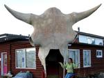 When you see a big skull, you know you're at the local laundromat.