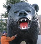 Greg isn't afraid of the bear.