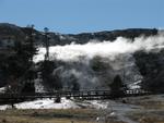 Heat rises off of Mammoth Springs.