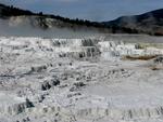 Yellowstone National Park.
