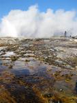 Daisy geyser erupting.