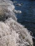 Icey plants next to steamy rivers.